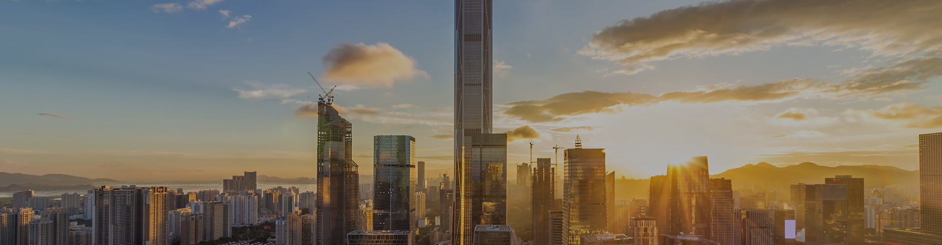 Company Profile